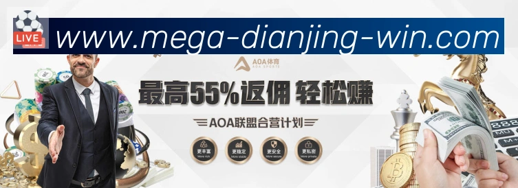 未来规划